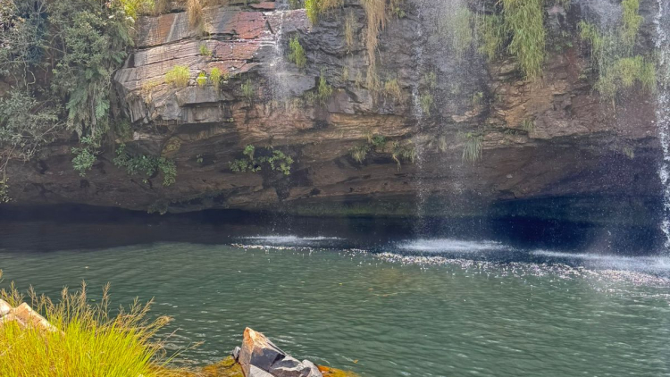 Delfin&oacute;polis - Serra da Canastra